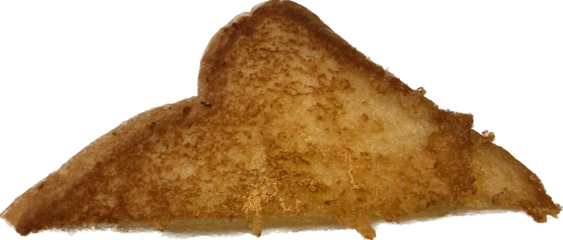 Toasted cheese with grill marks cut in half isolated on white