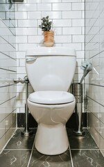 White toilet bowl and seat decoration interior