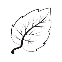 A birch leaf on a white background. Vector illustration