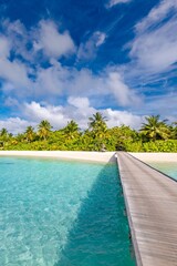 Summer Maldives vacation on tropical island hotel resort. Beautiful coast palm trees, pier jetty path paradise landscape. Idyllic sunny tourism relax sea sky. Travel holiday exotic nature destination