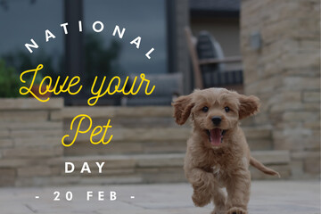 National love your pet day, love your pet, beautiful dog isolated with text