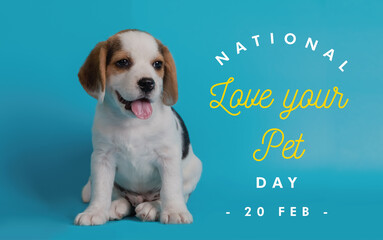 National love your pet day, love your pet, beautiful dog isolated with text