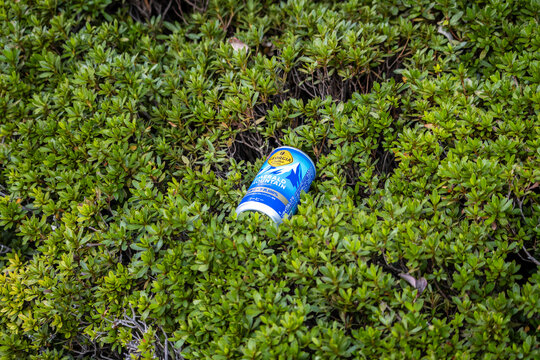 Tokyo, Japan, 3 November 2023: Discarded Pocari Sweat drink can in the greenery.