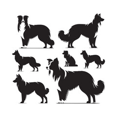Galactic Glee: Spirited Border Collie Silhouette in Cosmic Joy - Border Collie Illustration - Border Collie Vector Stock
