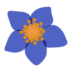 A delicate blue flower. Vector illustration