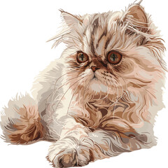 Portrait of a persian cat on a white background. Vector illustration