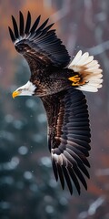 Majestic Eagles: Stunning Images of the King of Birds