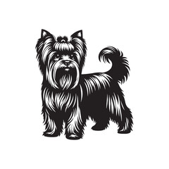 Noir Wonder: Captivating Yorkshire Terrier Silhouette in Darkness - Yorkshire Terrier Illustration - Yorkshire Terrier Vector Stock
