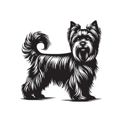 Dreamscape Drift: Floating Yorkshire Terrier Dog Silhouette - Yorkshire Terrier Illustration - Yorkshire Terrier Vector Stock
