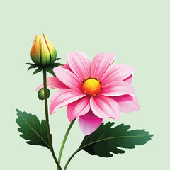 pink flower vector illustration