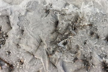 Frozen puddle ice with cracks and air bubbles reflecting sunlight