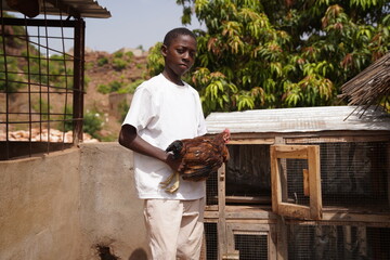 African farmboy at a poultry farm taking care of a rooster - concept of small sustainable business...