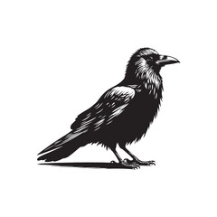 Nightfall's Embrace: Intricate Crow Silhouette Dancing in the Moonlight - Crow Vector Stock - Crow Illustration

