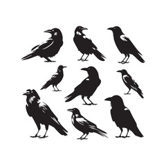 Whispering Shadows: Enigmatic Crow Silhouette in the Veil of Dusk - Crow Vector Stock - Crow Illustration
