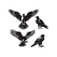 Midnight Rapture: Falcon Silhouette Enveloped in Night's Embrace - Falcon Illustration
