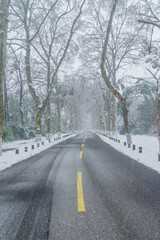 Snow scenery of Wuhan East Lake Scenic Area