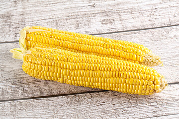 Sweet yellow raw corn cob