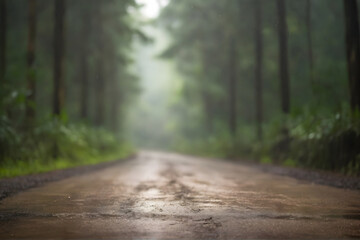 Empty dirty road with blurred bokeh in rain forest view background flash studio style.