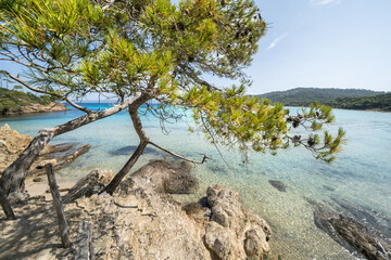 Beautiful Notre Dame beach (Plage Notre-Dame) on Porquerolles island (l'île de Porquerolles), France