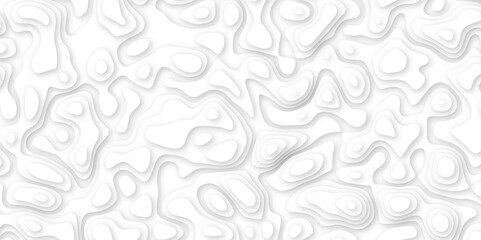 Abstract geometric layered curve line white background. 3d white papercut topography relief. Cover layout template. paper cut topography soft background banner texture. light liquid wave illustration.
