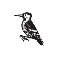 Serene Symphony: Minimallest Woodpecker Bird Silhouette Harmony - Woodpecker Vector
