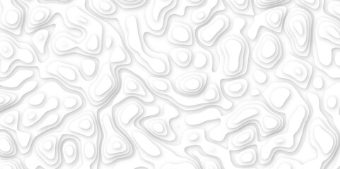 Abstract geometric layered curve line white background. 3d white papercut topography relief. Cover layout template. paper cut topography soft background banner texture. light liquid wave illustration.