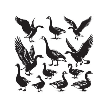 Radiant Resonance: Minimallest Goose Silhouette Amidst Starlight Brilliance - Goose Vector

