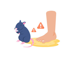 Leptospirosis. A bacterial disease that is spread through animal urine. spread of viruses or diseases through rat urine. feet touching rat urine. health problems. illustration concept design. graphic 