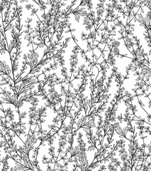 Seamless pattern. Field thume,sagebrush, line drawing. Vector illustration