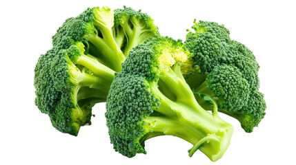 broccoli on transparent background