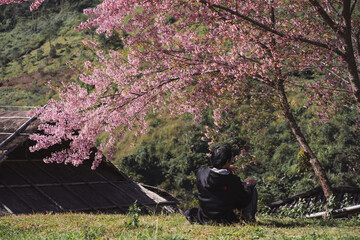 travel and work concept with solo freelancer man sit under cherry blossom tree and use tablet work...