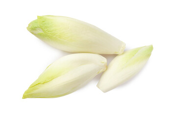 Raw ripe chicories on white background, top view