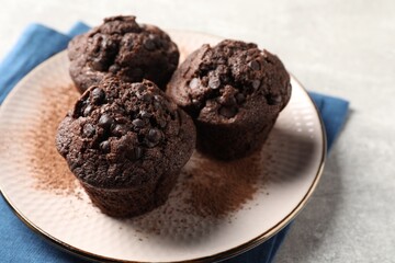 Delicious chocolate muffins and cacao powder on light grey table, closeup. Space for text