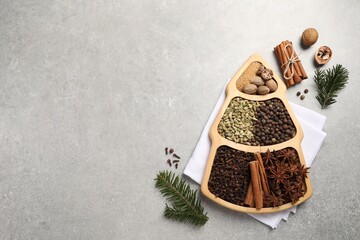 Different spices, nuts and fir branches on gray textured table, flat lay. Space for text