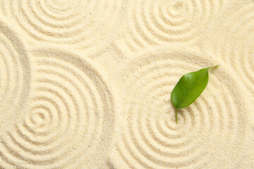 Zen rock garden. Circle patterns and green leaf on beige sand, top view