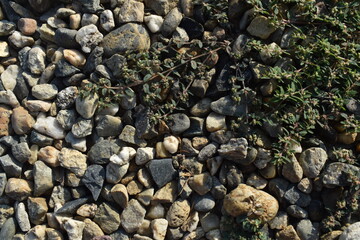 Il potere della natura