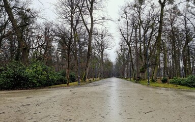 Wet path in the park