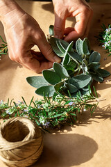 Herbal medicine. Woman's hands preparing sage and others eco friendly medicinal herbs for drying. Herbalist preparing herbs for natural herbal methods of treatment. Alternative medicine.