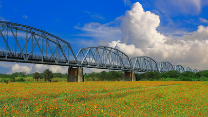 The spectacular Warren Truss Old Railway Bridge over scenic flower field. Dashu , Kaohsiung,Taiwan.for branding,calender,postcard,screensave,wallpaper,poster,banner,cover,website.High quality photo