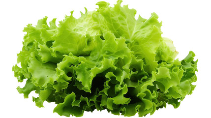 green lettuce on transparent background