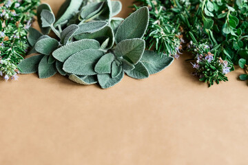 Herbal medicine. Sage, rosemary and oregano on craft paper. Preparation of eco friendly medicinal...