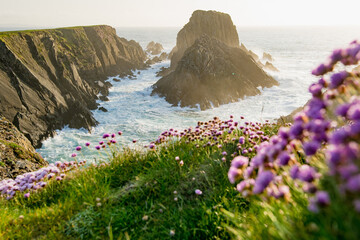 Scheildren, most iconic and photographed landscape at Malin Head, Ireland's northernmost point,...