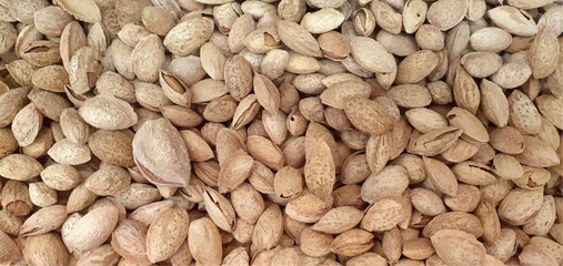 Organic background almonds, vector, pattern. Almond nut in shell vector isolated. Nuts packaging design, almond nuts background closeup.	