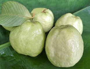 Picture of pile of fruits, fresh guava, banana leaves