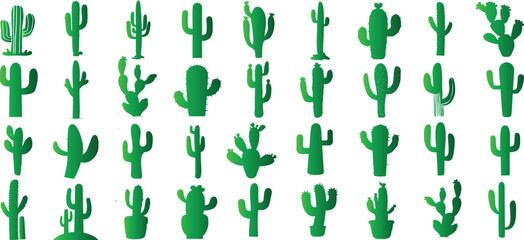 cactus vector illustration, diverse green cacti, isolated on white. Perfect for nature themes, eco friendly content, desert landscapes