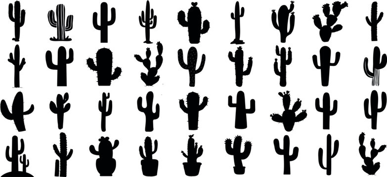 Black cactus silhouettes, diverse shapes and sizes, isolated on white background. Ideal for wallpaper, wrapping paper, textile prints