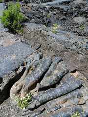 Curved lava formation, Craters of the Moon National Monument and Preserve, Idaho, United States