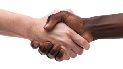 Black men and white men handshaking on white backgrounds. Deal with a project.