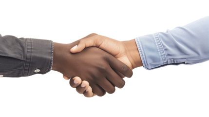 Black men and white men handshaking on white backgrounds. Deal with a project.