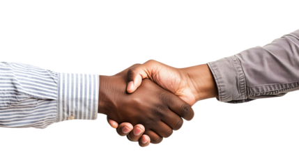 Black men and white men handshaking on white backgrounds. Deal with a project.